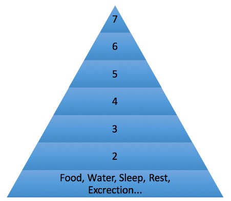 Maslow's pyramid first needs